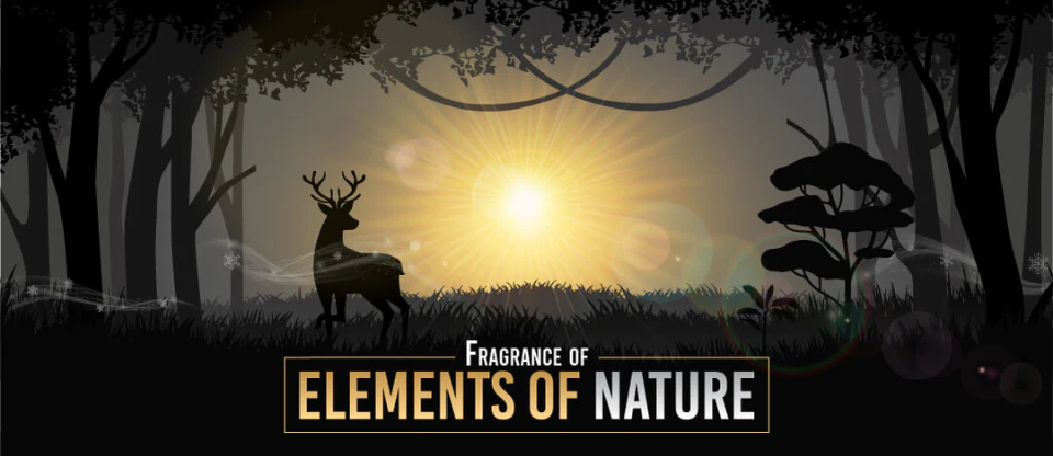 Explore The Elements Of Nature