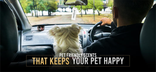 Pet-Friendly Car Perfumes: Scents That Keep Your Four-Legged Friends Happy