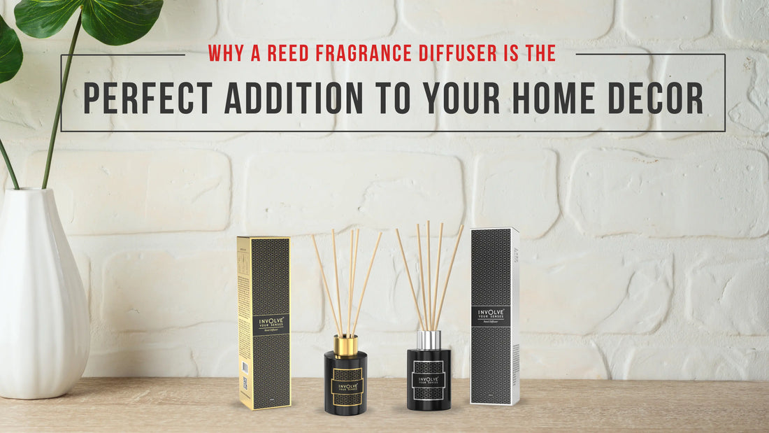 Why a Reed Fragrance Diffuser is the Perfect Addition to Your Home Décor