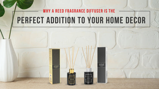 Why a Reed Fragrance Diffuser is the Perfect Addition to Your Home Décor