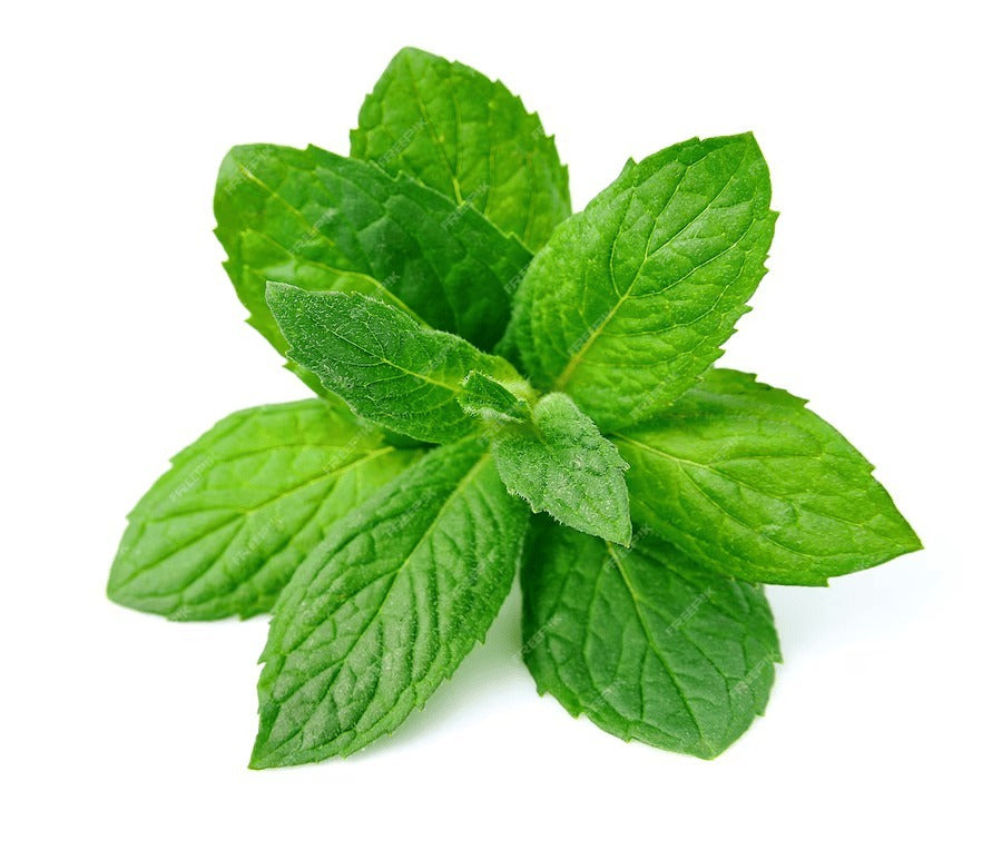 Mint Fragrances
