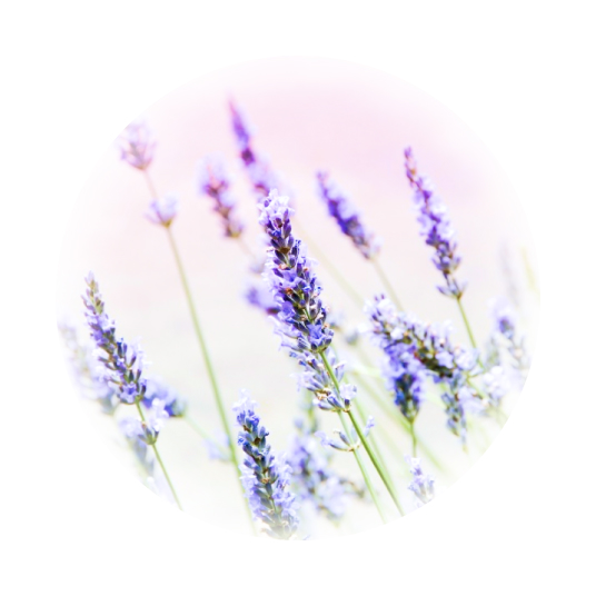 Aromatic Fragrance