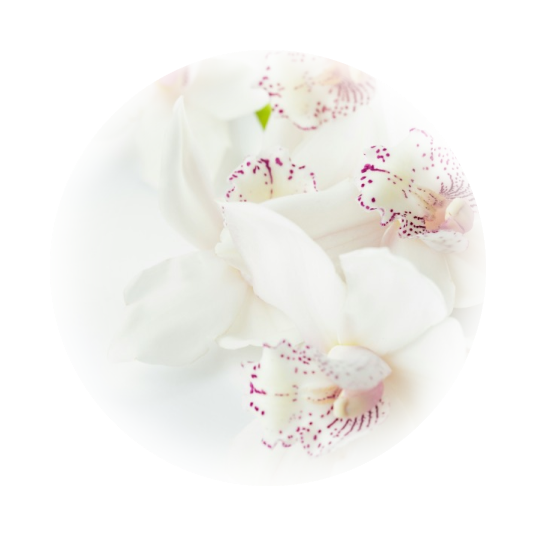 Oriental Fragrance