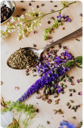 Involve Your Senses about