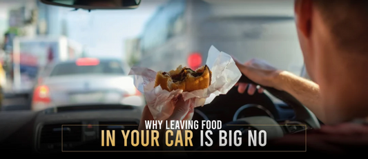 Why Leaving Food in Your Car is a Big No and How Car Perfumes Can Help?