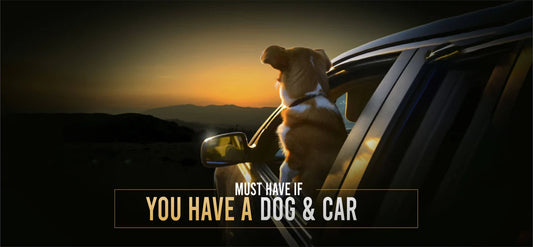 Must have if you have a dog & car