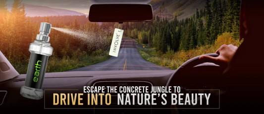 Escape The Concrete Jungle To Drive Into Nature's Beauty