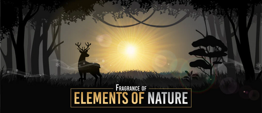 Explore The Elements Of Nature