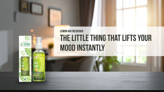 Lemon Air Freshener – The Little Things that Lifts Your Mood